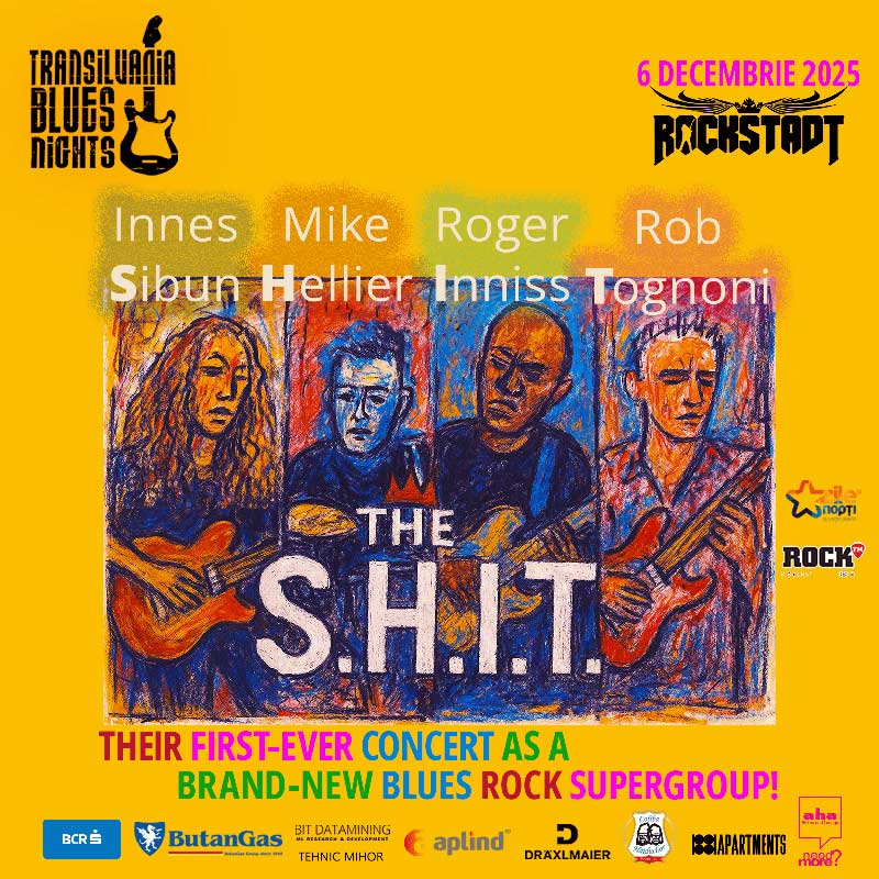 Vizual-concert-The-S.H.I.T