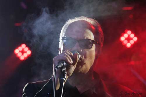 Curtis Salgado 02