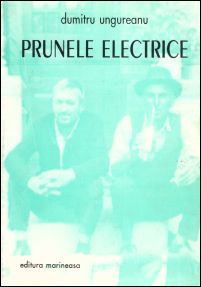 Dumitru Ungureanu Prunele electrice.jpg