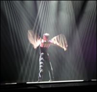 Flamenco 2 15 mai 2018.jpg