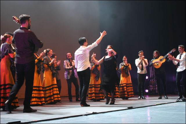 Flamenco 3 15 mai 2018.jpg Flamenco 3 15 mai 2018.jpg