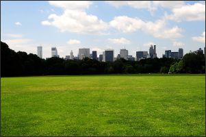 The Great Lawn.jpg