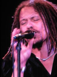 The Magpie Salute Grolloo ed2.jpg