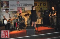 club_insect politics