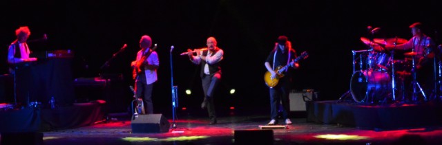 jethro tull 1 2014.jpg